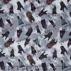 Harry Potter - Characters Gray Yardage