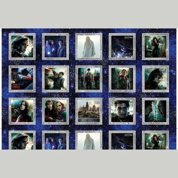 Harry Potter - Wizarding Boxes Multi Yardage