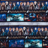 Harry Potter - Border Stripe Multi Yardage