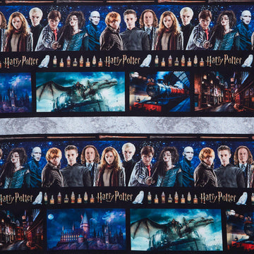 Harry Potter - Border Stripe Multi Yardage