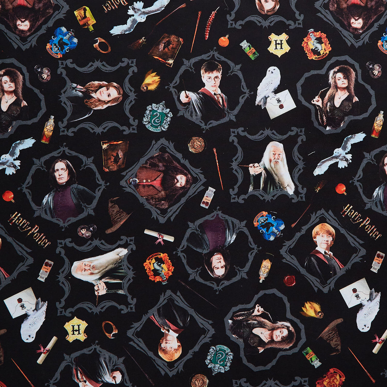 Harry Potter - Magic Black 108" Wide Backing