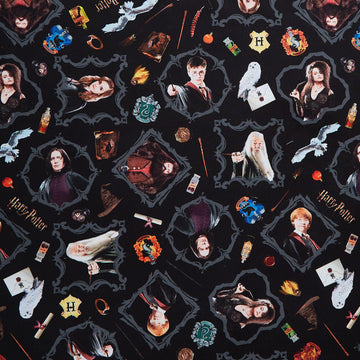 Harry Potter - Magic Black 108" Wide Backing