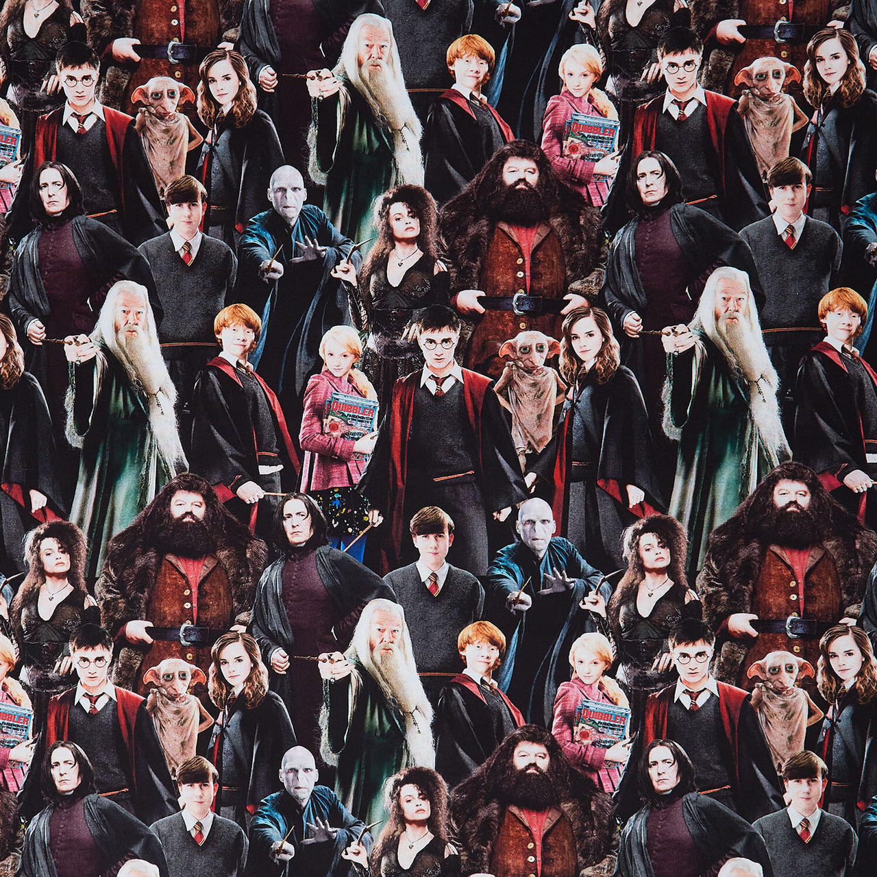 Harry Potter - Chracters Multi 108" Wide Backing