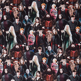 Harry Potter - Chracters Multi 108" Wide Backing