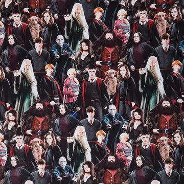 Harry Potter - Chracters Multi 108" Wide Backing