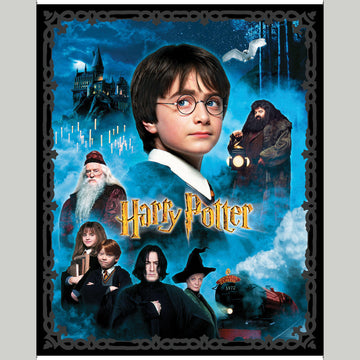 Harry Potter - Harry Potter Multi Panel