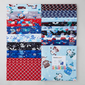 Winter Wonders 10" Squares