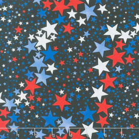 Patriotic 108" - Starlight Black/Multi 108" Wide Backing