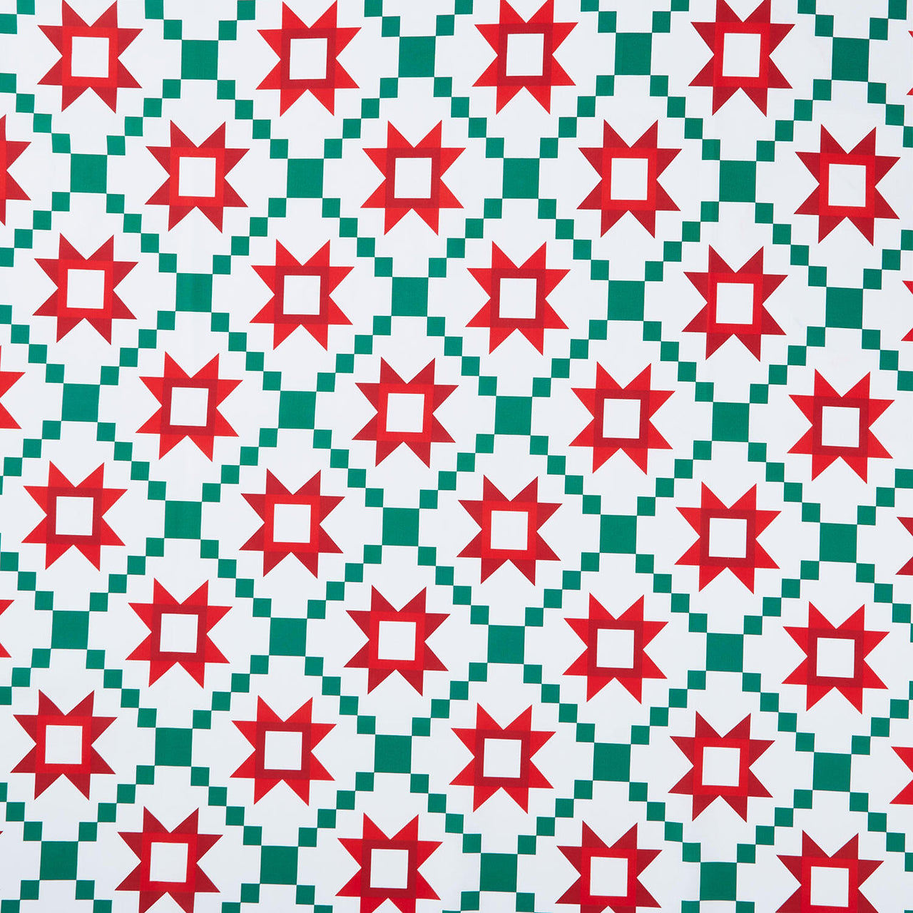Christmas In Quilt Town - Quilt Poinsettia 110" Wide Backing