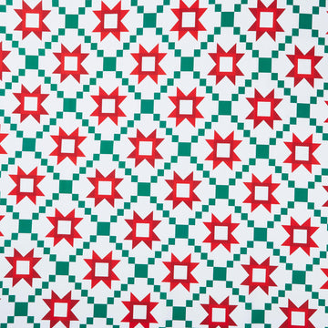 Christmas In Quilt Town - Quilt Poinsettia 110" Wide Backing