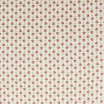 Floral Fling Garden - Rosebud Stripe Cream 2 Yard Cut