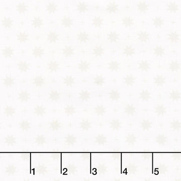 The Bright Side - Eight Point Star and Check White Yardage