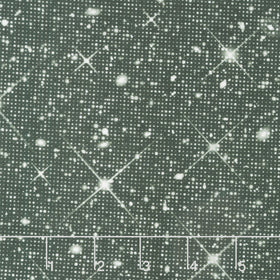 Luminosity 118" - Sparkle Black 118" Wide Backing