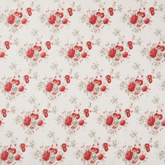 Merry Little Christmas - Carol Cream Yardage
