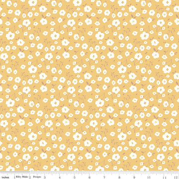 Sunsetridge - Flowers - Honey