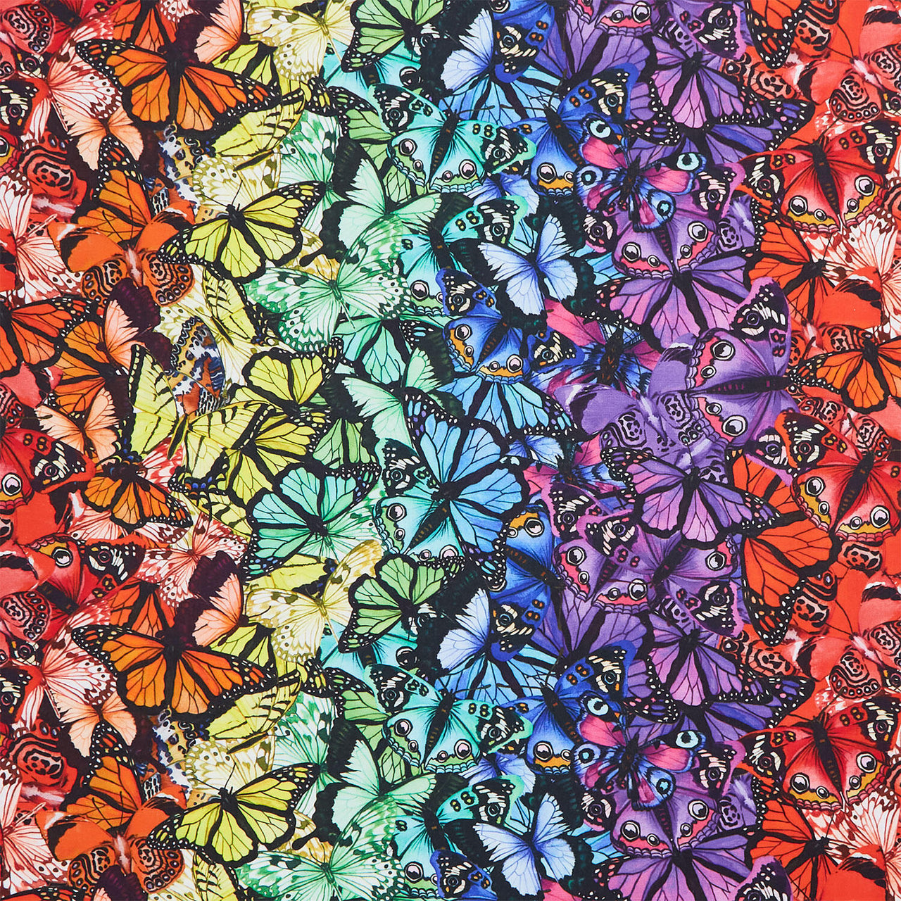Monarch Gardens - Rainbow Butterflies Yardage