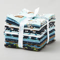 Pirates Ahoy Fat Quarter Bundle