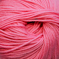 Cascade 220 Superwash Yarn