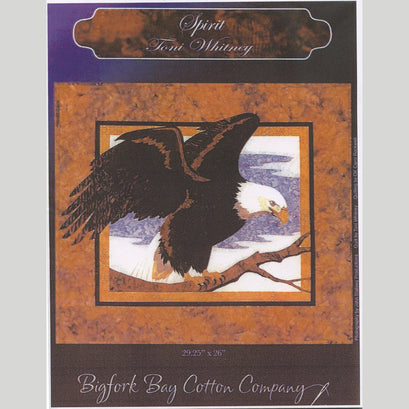 Spirit Eagle Wall Hanging Pattern