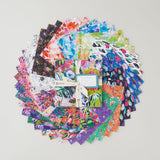 Sunset Meadow Charm Pack