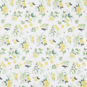 Lemon Zest - Citrus Grove White Yardage