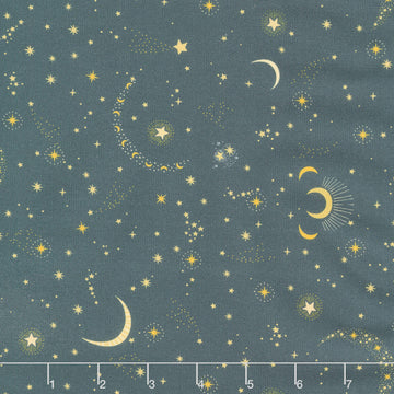 Sting Like A Bee - Nightfall Charcoal Yardage