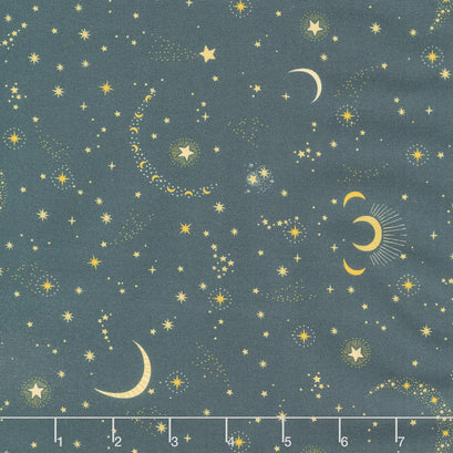 Sting Like A Bee - Nightfall Charcoal Yardage