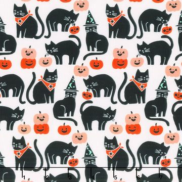 Sweet Treats - Cats Black Glow in the Dark Yardage