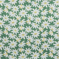 Meadow Breeze Favorites - Daisies Green 2 Yard Cut