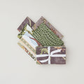 Dinosaur Trails Favorites Fat Quarter Bundle - 5 pcs.