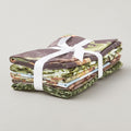 Dinosaur Trails Favorites Fat Quarter Bundle - 5 pcs.