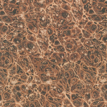 Eclectic Elements - Palette Marble Neutral Yardage