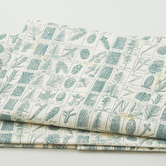 Holidays Past - Pine Chart Green 2 Yard Cut