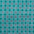 Kaffe Fassett Collective - February 2025 Gingham Aqua 2 Yard Cut