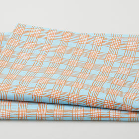 Kaffe Fassett Collective August 2023 - Gingham Grey 2 Yard Cut