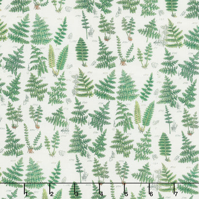 Eclectic Elements - Palette Ferns Green Yardage