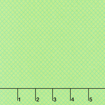 Tula Pink's True Colors - On the Grid Apple Yardage