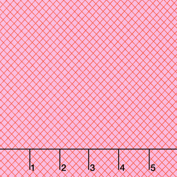 Tula Pink's True Colors - On the Grid Bubblegum Yardage