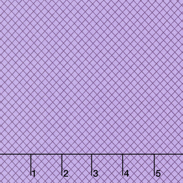 Tula Pink's True Colors - On the Grid Mysterious Yardage