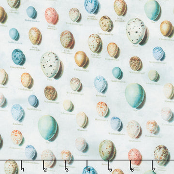 Eclectic Elements - Palette Eggs Blue Yardage