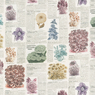 Eclectic Elements - Palette Botany Multi Yardage