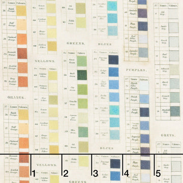 Eclectic Elements - Palette Palettes Multi Yardage