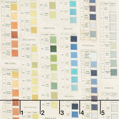 Eclectic Elements - Palette Palettes Multi Yardage