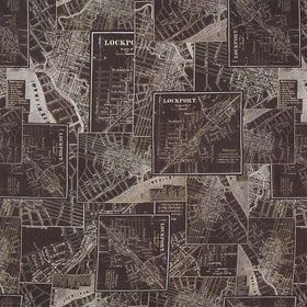 Eclectic Elements - Palette Map Charcoal Yardage