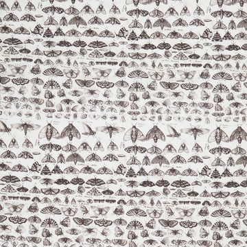 Eclectic Elements - Palette Moths Charcoal Yardage