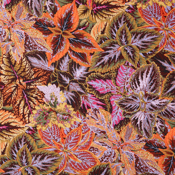 Kaffe Fassett Collective - August 2025 Bold Leaves Brown Yardage
