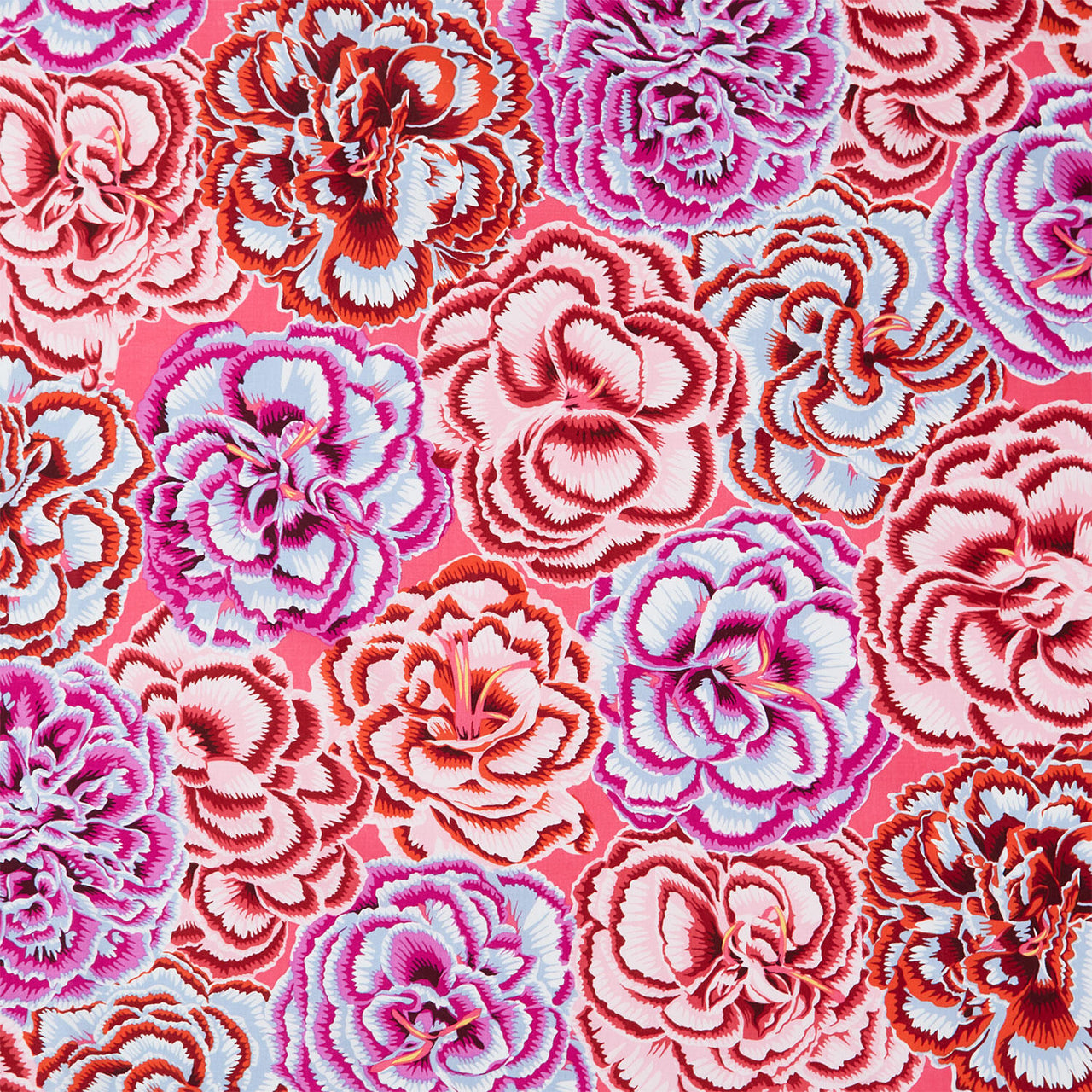Kaffe Fassett Collective - August 2025 Picotee Carnations Pink Yardage