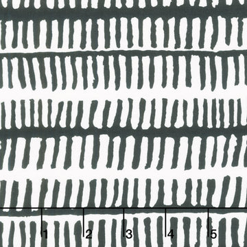 Kaffe Fassett Collective - August 2025 Zipper Stripe Zebra Yardage