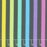 Graywork - True Colors Disco Stripe Carbon Yardage