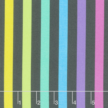 Graywork - True Colors Disco Stripe Carbon Yardage